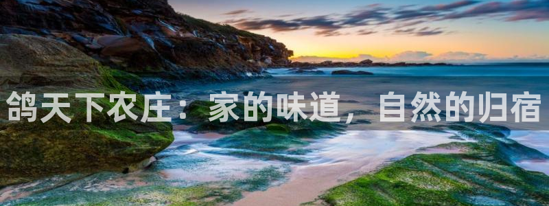 琳琅娱乐