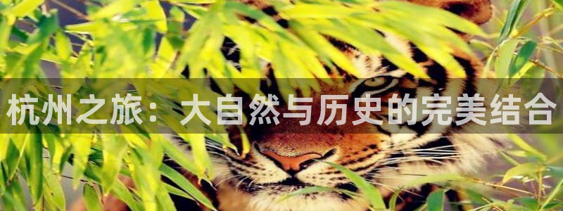 琳琅娱乐怎么样