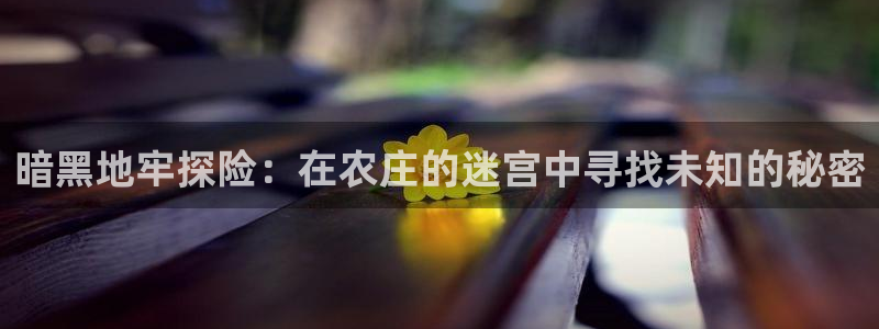 琳琅娱乐平台怎么样啊