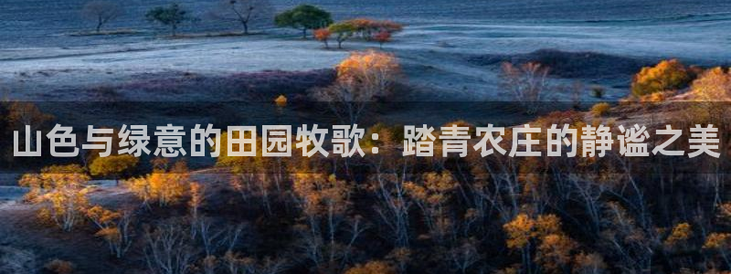 琳琅科技娱乐机器人