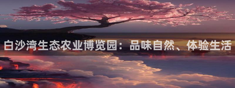 琳琅娱乐代理