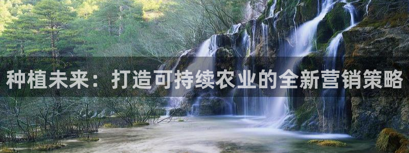 琳琅娱乐平台怎么样