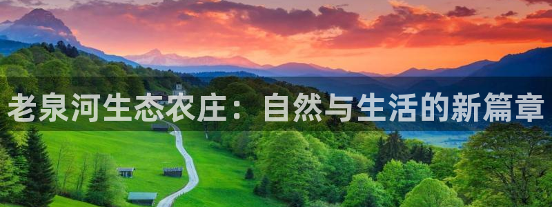 琳琅娱乐八卦