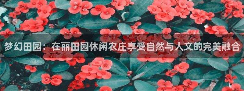 琳琅娱乐足球