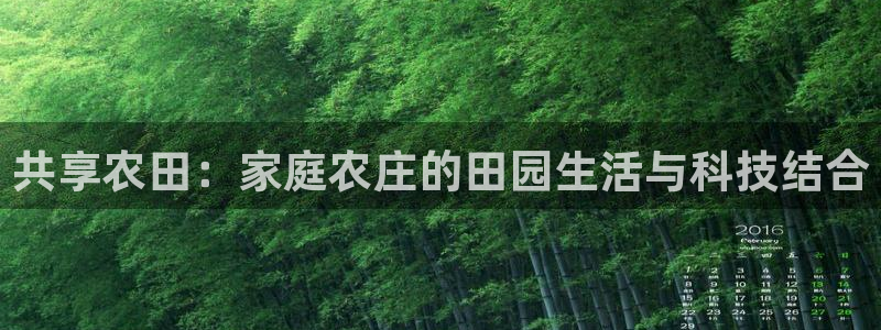 琳琅娱乐足球