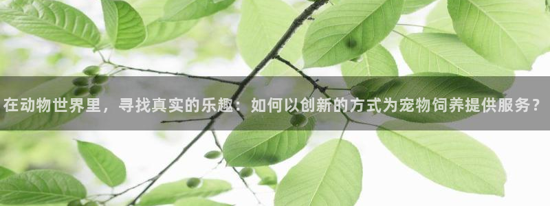 琳琅娱乐工作室地址查询