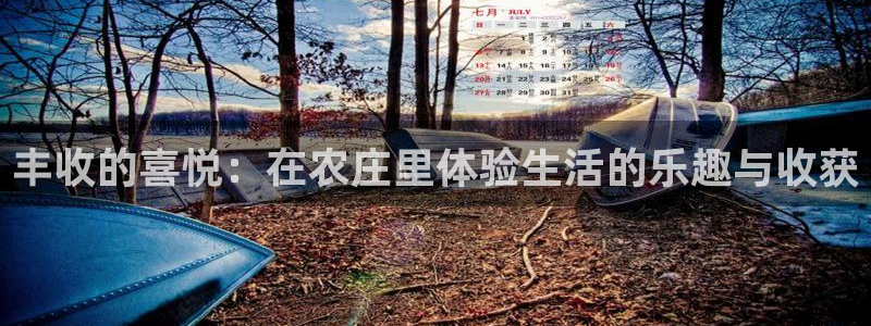琳琅科技娱乐qq机器人词库
