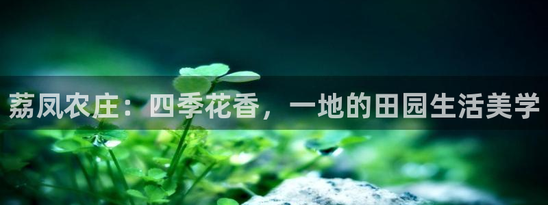 琳琅娱乐成年女人视频