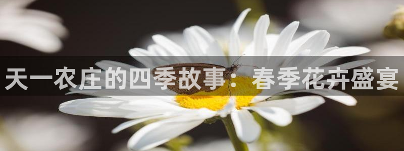 琳琅娱乐 全麦优质