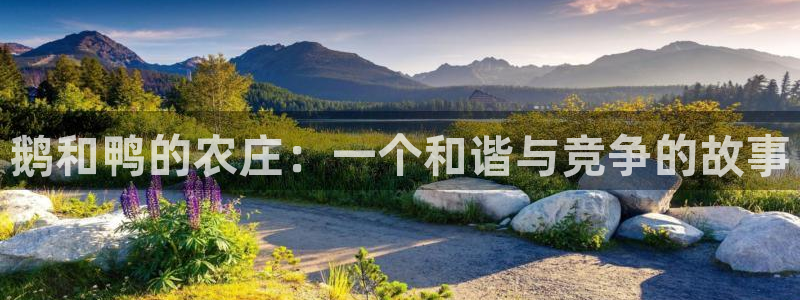 琳琅娱乐工作室招聘