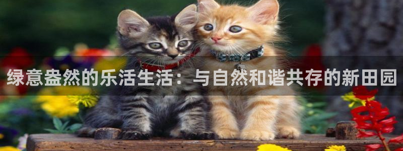 琳琅科技娱乐机器人插件