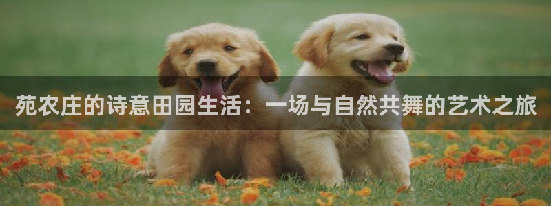 琳琅娱乐a