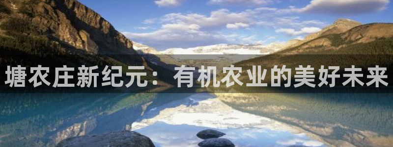 娱乐从琳琅榜开始的小说
