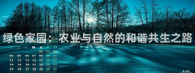 琳琅娱乐4120051