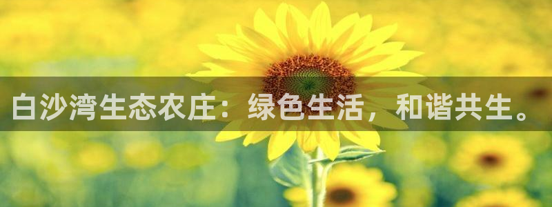 琳琅娱乐平台帐7O777