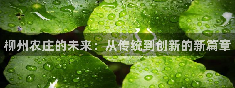 琳琅娱乐平台帐7O777