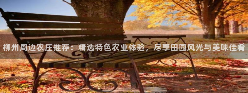 琳琅娱乐代理