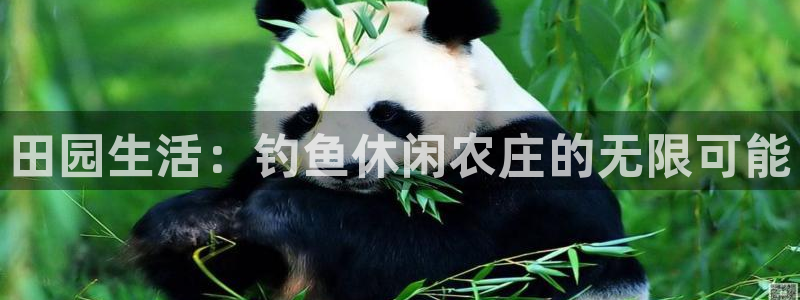 琳琅娱乐平台是真的吗