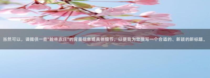 琳琅娱乐工作室怎么样