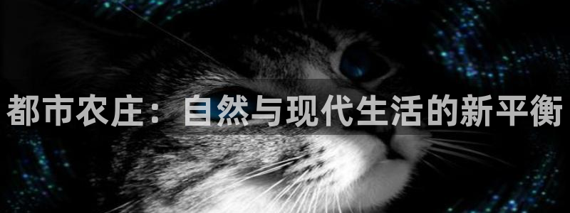 娱乐从琳琅榜开始笔趣阁