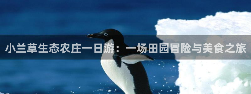 琳琅娱乐代理21192