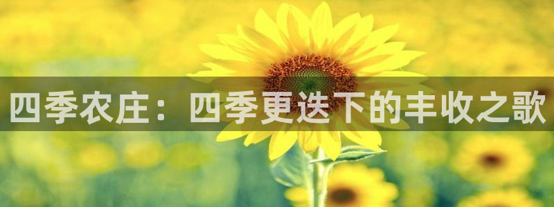 琳琅娱乐招商