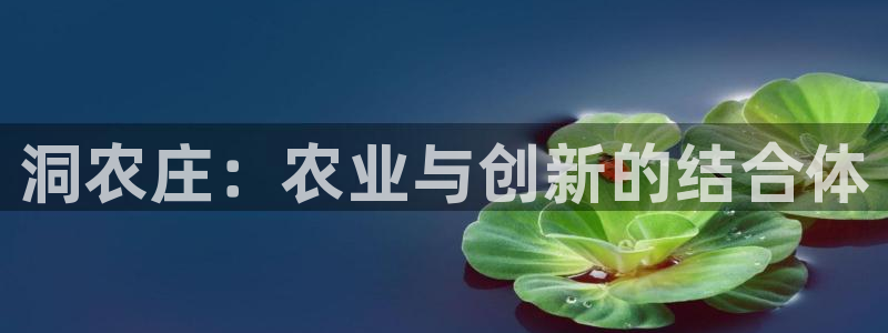 琳琅娱乐工作室地址