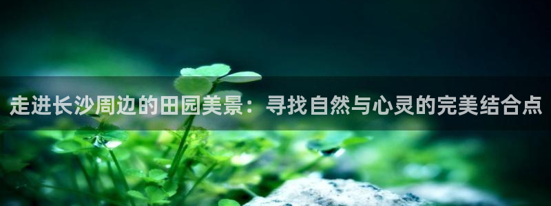 琳琅娱乐免费线上观看
