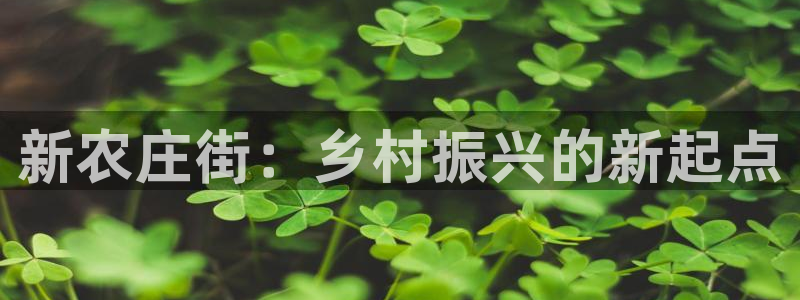琳琅娱乐4120051