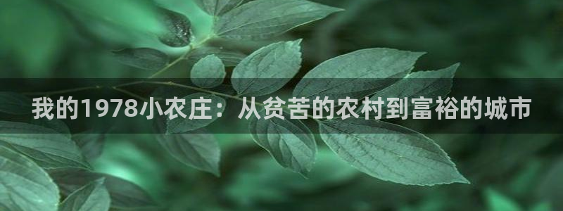 琳琅娱乐工作室地址