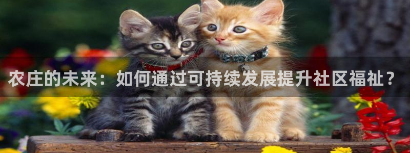 琳琅社区娱乐视频