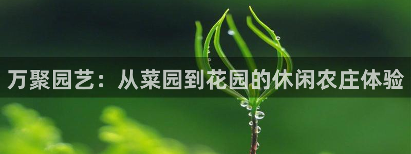 琳琅娱乐注册登录官网