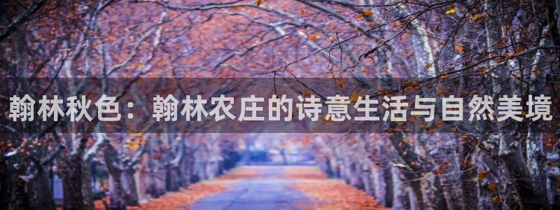 琳琅娱乐工作室地址查询