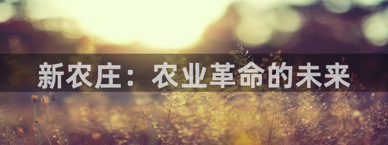 琳琅娱乐机器人