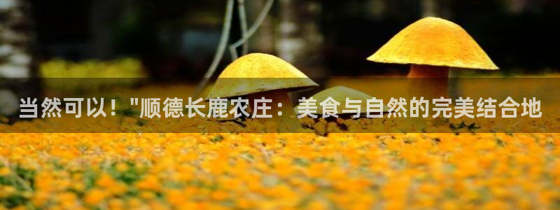 琳琅娱乐成年女人视频