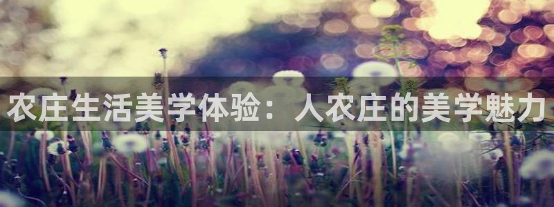 琳琅娱乐招商注册