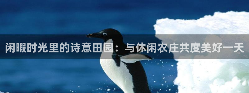 琳琅娱乐开户