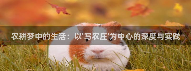 琳琅说娱乐