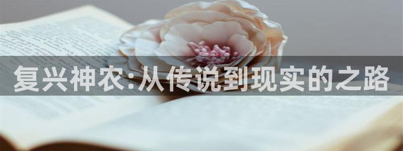 琳琅娱乐挂机