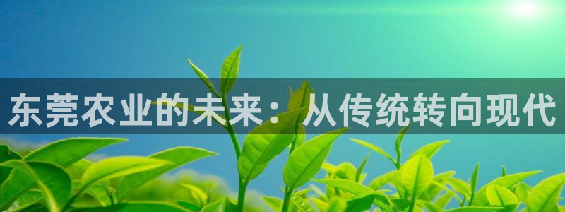 梧州琳琅娱乐城