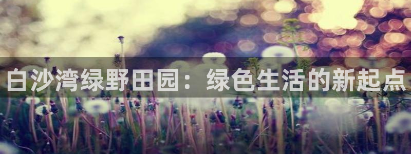 琳琅科技娱乐机器