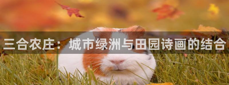 琳琅科技娱乐机器人插件