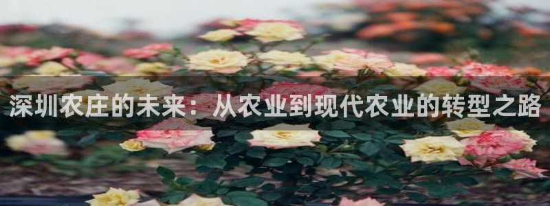 琳琅科技qq娱乐机器人