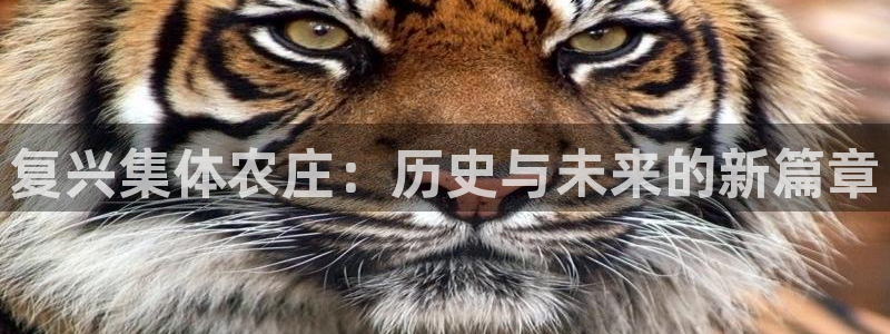 琳琅娱乐信誉33300