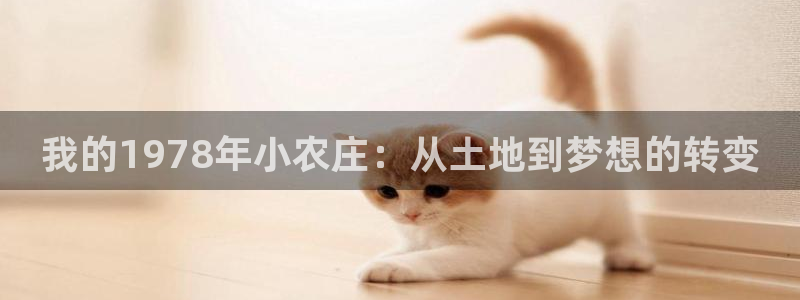 琳琅娱乐园
