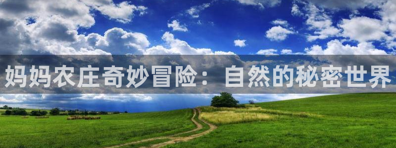 琳琅娱乐怎么样