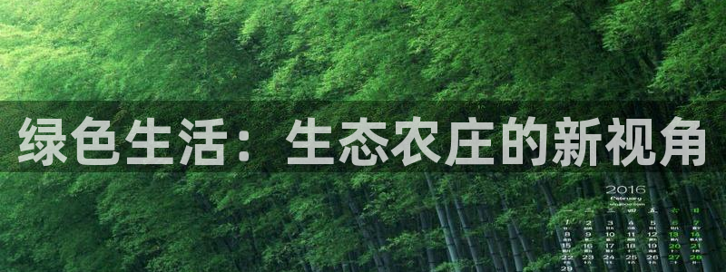 琳琅娱乐网