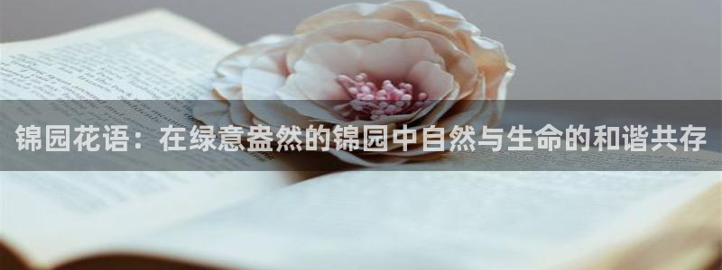 琳琅娱乐社区