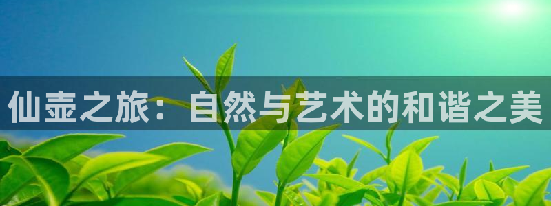 琳琅娱乐装7O777