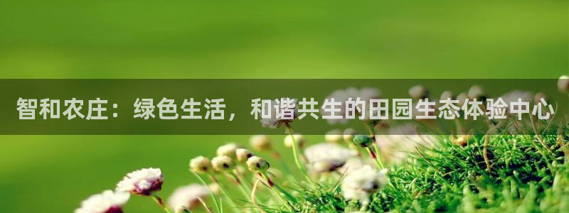 娱乐从琳琅榜开始的小说